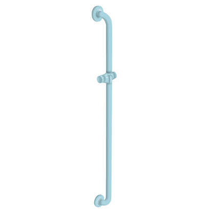 36 Inch Vertical Grab Bar with Shower Head Holder