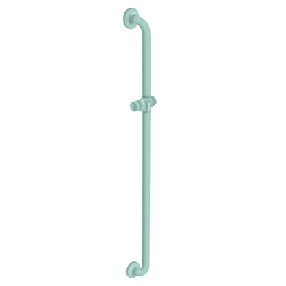 36 Inch Vertical Grab Bar with Shower Head Holder