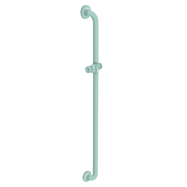 30 Inch Vertical Grab Bar with Shower Head Holder