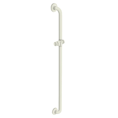 36 Inch Vertical Grab Bar with Shower Head Holder