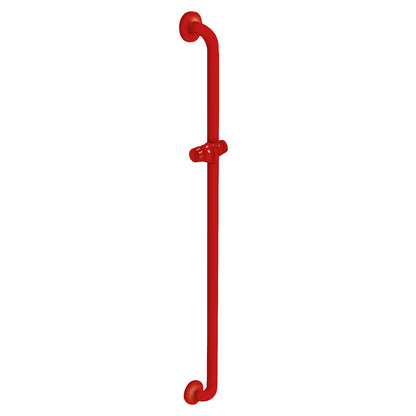36 Inch Vertical Grab Bar with Shower Head Holder