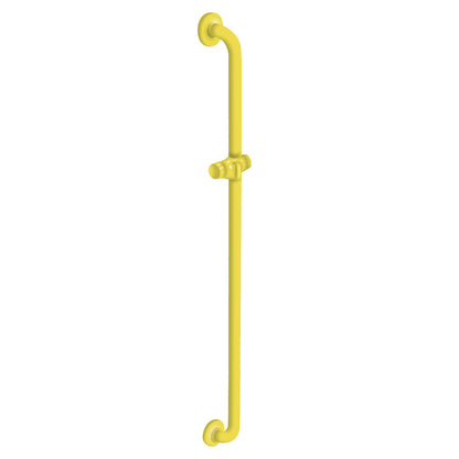 36 Inch Vertical Grab Bar with Shower Head Holder